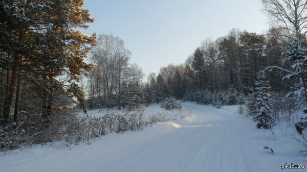 Красноярский край