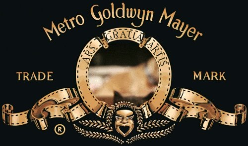   Metro Goldwyn Mayer 