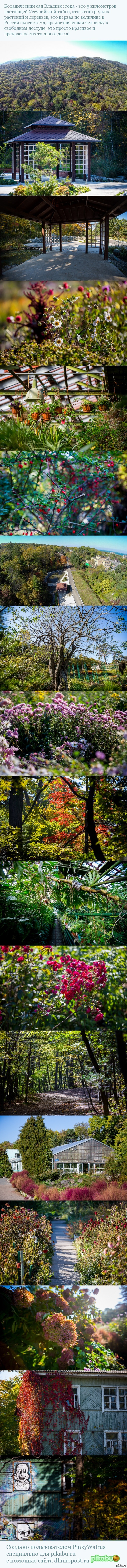 Ботанический сад