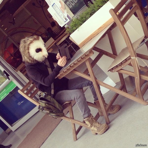 Просто сова.