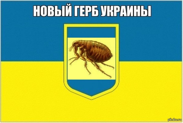 �� ���� :(