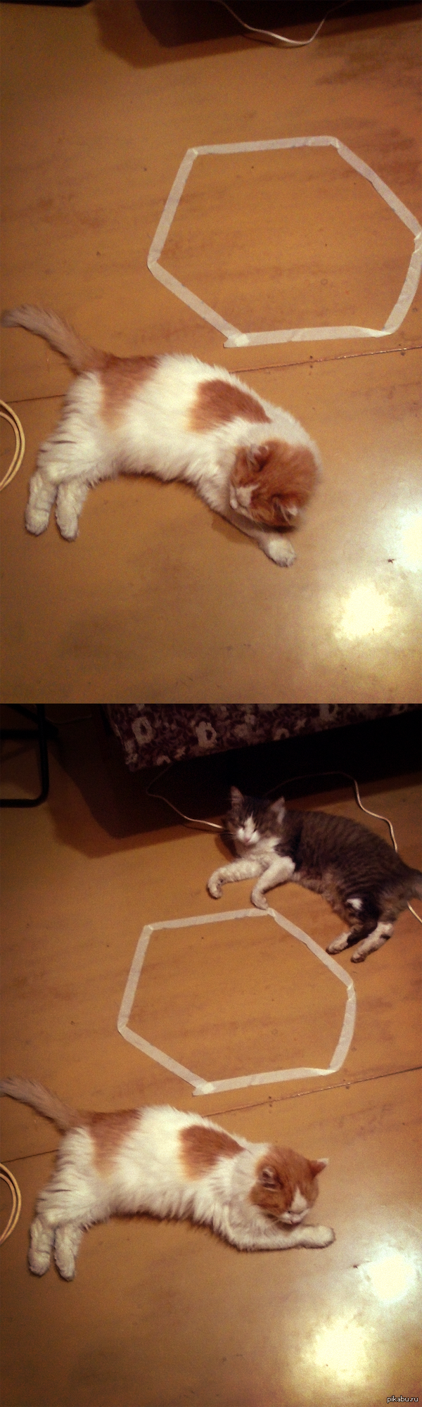 ��� � ���, ���������.