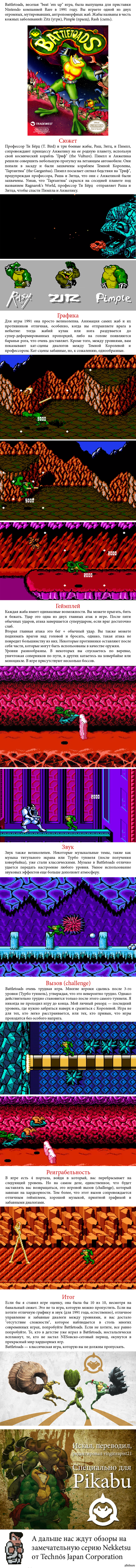 Battletoads: истории из жизни, советы, новости, юмор и картинки — Все  посты, страница 8 | Пикабу