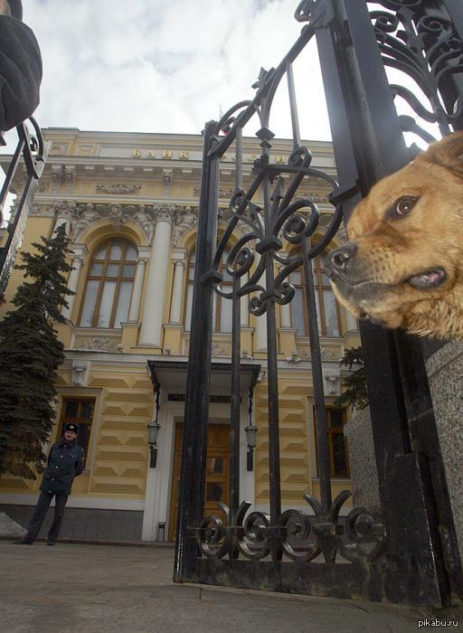 Как обычно, в самы нужный момент.