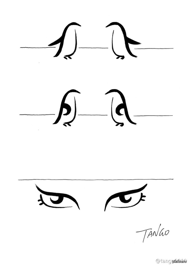 ���� ����� ������ ��� ����� �����������