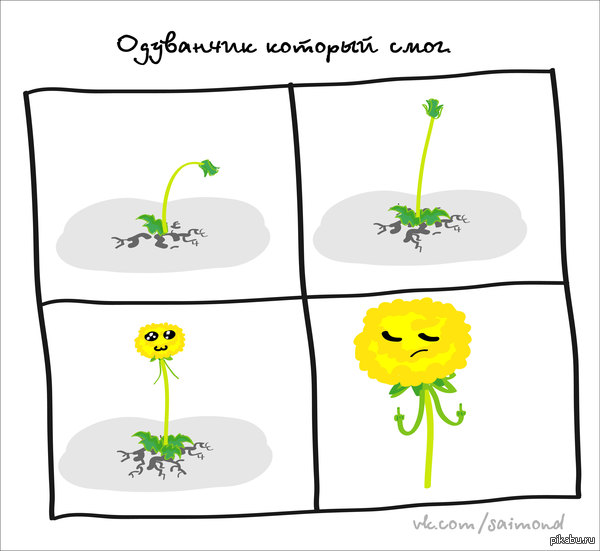 ���������.