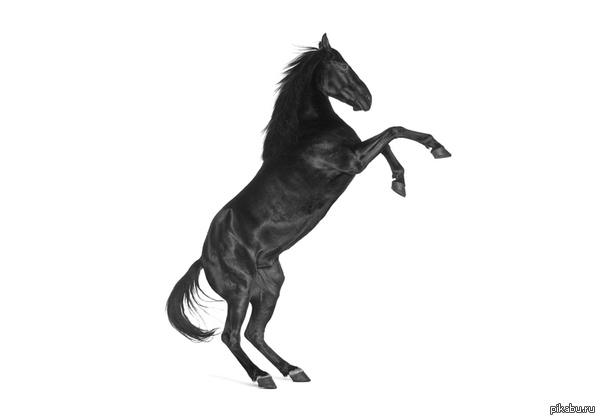 для поднятия настроения