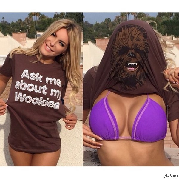 Ask Me About My Wookiees - NSFW, Star Wars, Boobs, , Girls