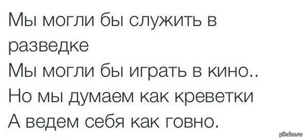 Мы могли бы служить в разведке. Мы могли бы служить в разведке песня. Мы могли бы служить в разведке текст. Мы могли бы служить в разведке мы могли бы играть в кино.