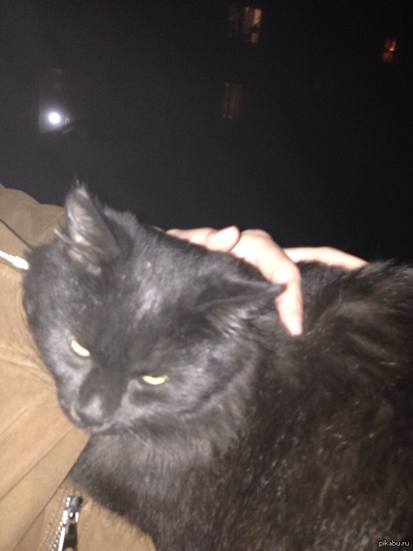 �������� �������