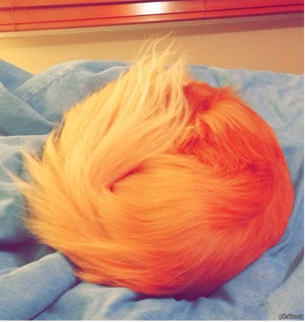 &quot;        Firefox&quot;