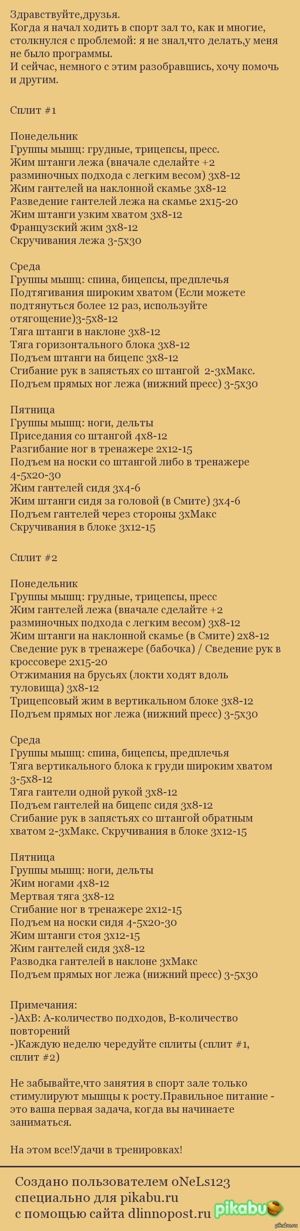 Программа тренировок в спорт зале | Пикабу