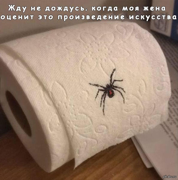 Паучок =) | Пикабу