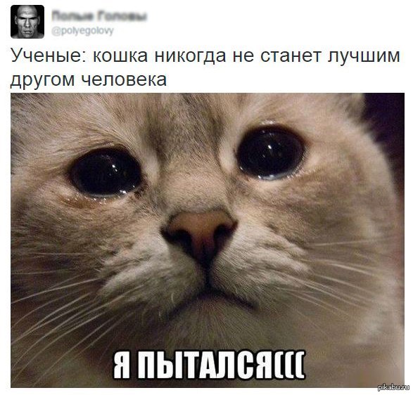 грустненько