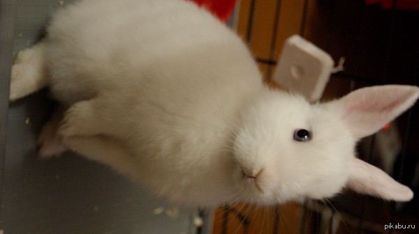 � ���� ������,� � ��� ������, ��������� ����� :3