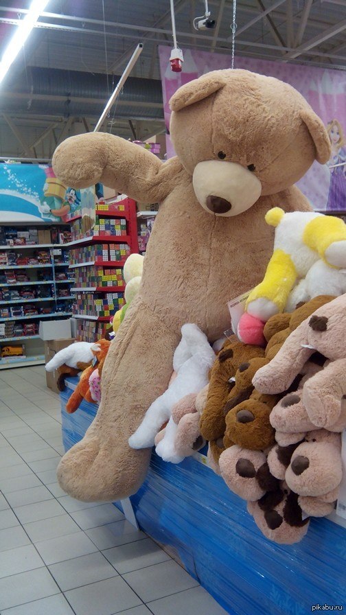 �����-������.