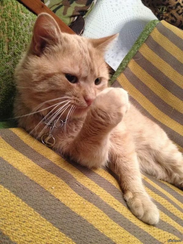 ��� ������� ���  ��� Lexus  ��� �� ����� �������� :)