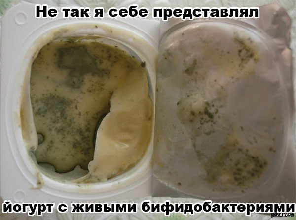 Живые бифидобактерии