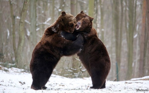 �������� ������ �����!