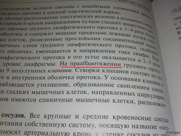 И вот мой второй пост на эту же тему. На этот раз мой учебник по гистологии. Интересно, как это проходит редакцию?)