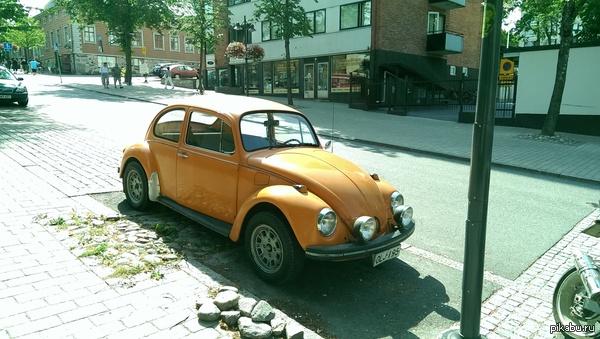 Просто жук.