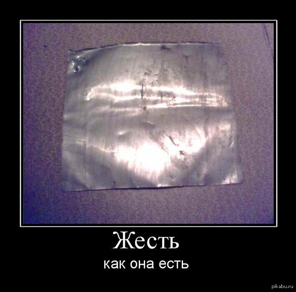Жесть! | Пикабу
