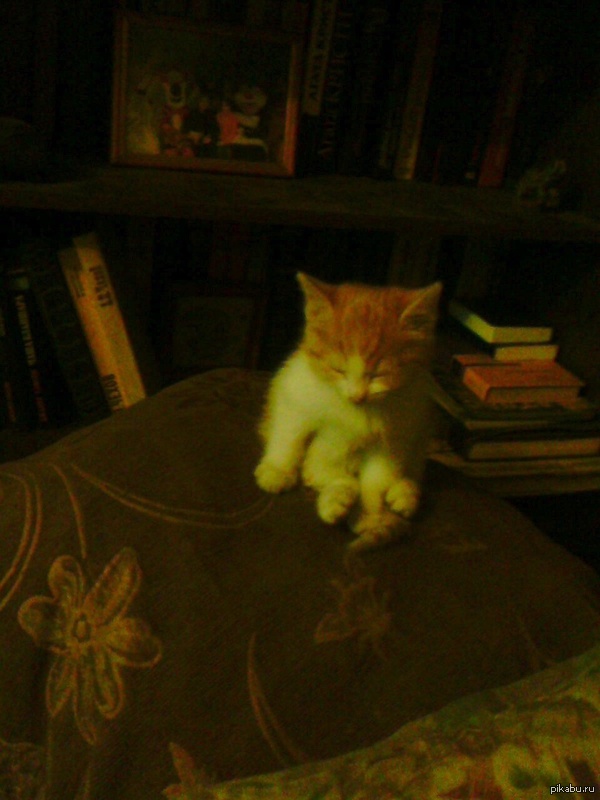 ����� ������� ���� ��� ���