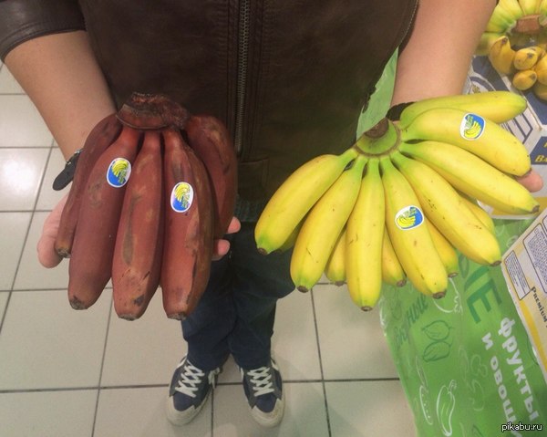 ������ ����������� ��������/������ ����������!