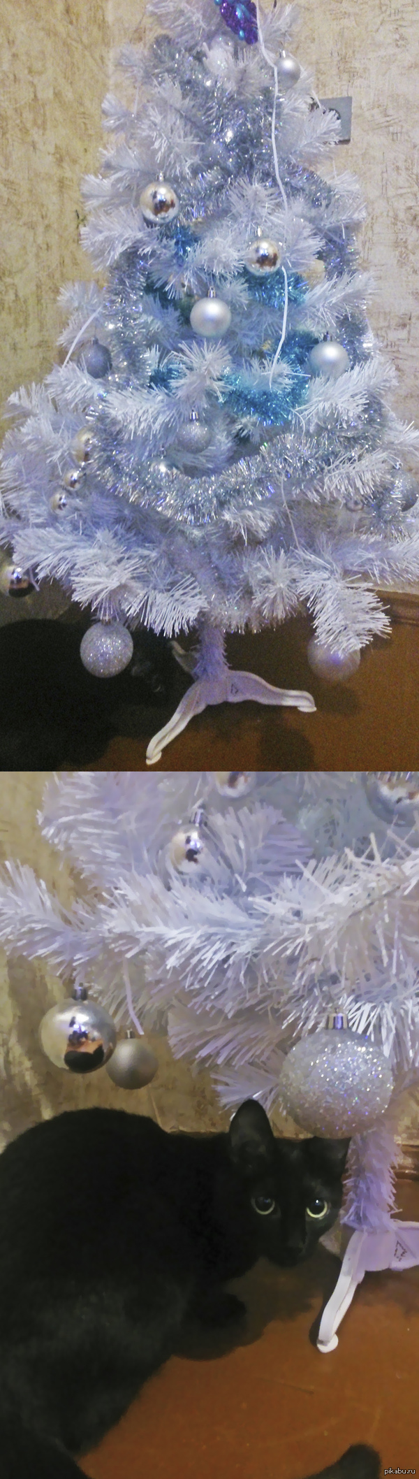 Стоило поставить дочурке елку в комнату, как под ней появилась черная тень - Ниндзя!