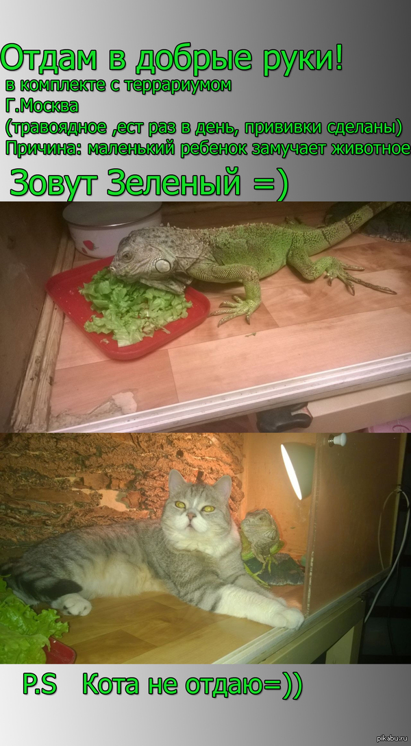    ! !  !   =)