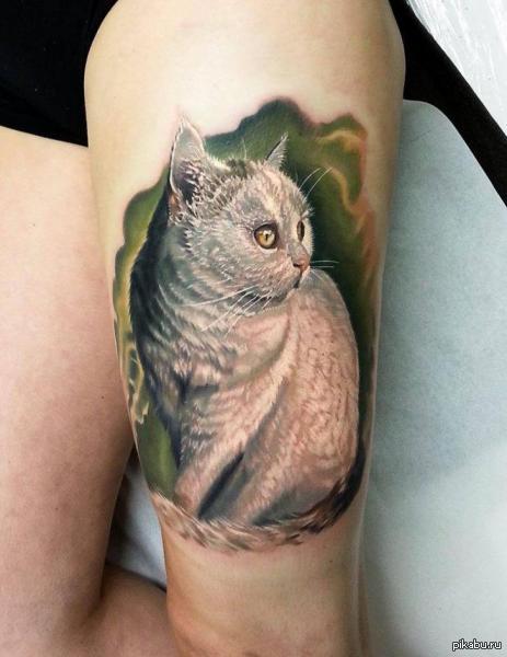 Татуировки кошек