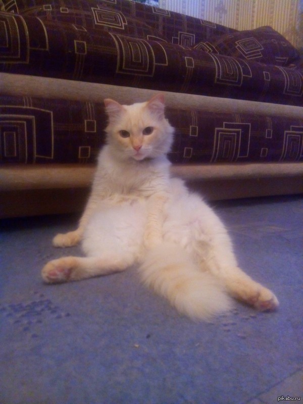 Любимая поза