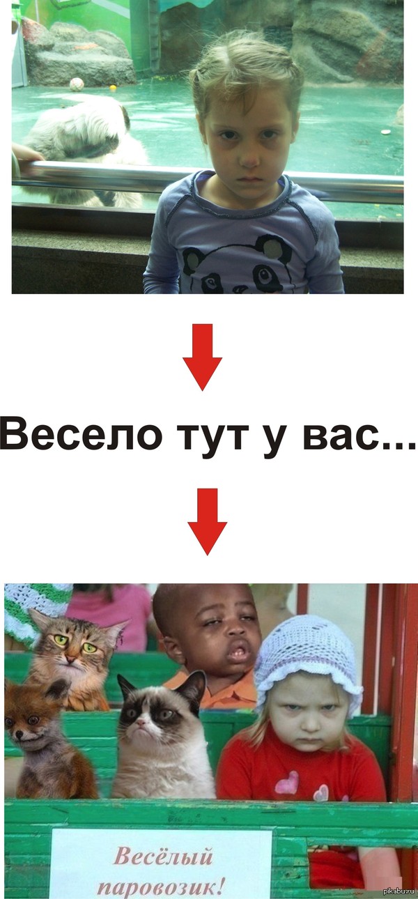 Сводил племяшку в зоопарк