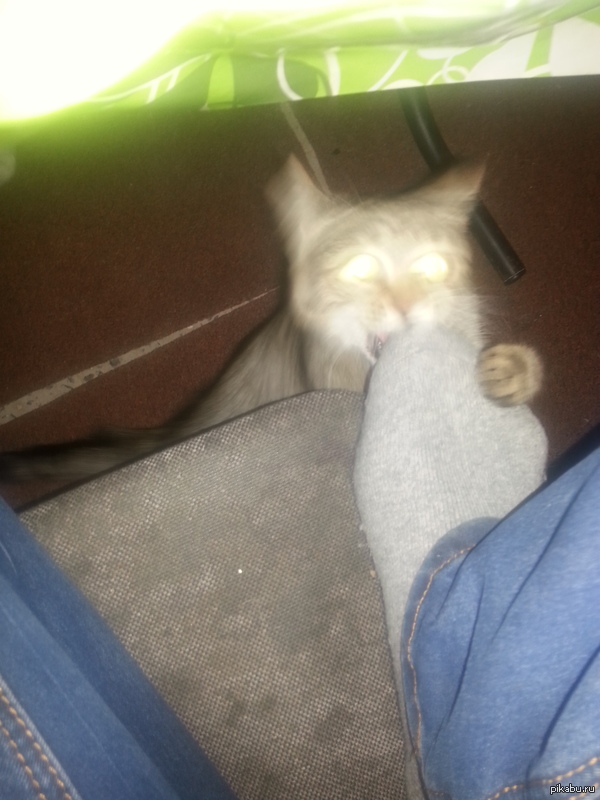 ��� ���� ������ �� ���, ������ �� ������ ������.)