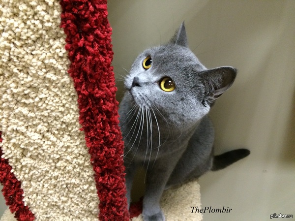 �������� � ���������� �����