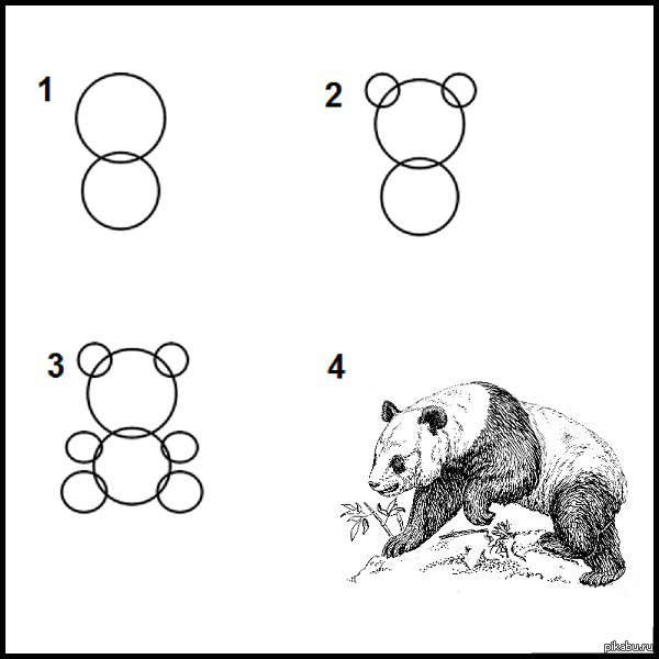 Картинки Поэтапно Панда