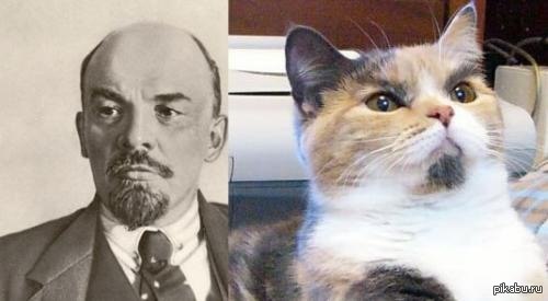 ���������� ������� ���� ��������!