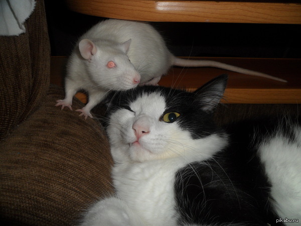 "��� �� ����� �������"