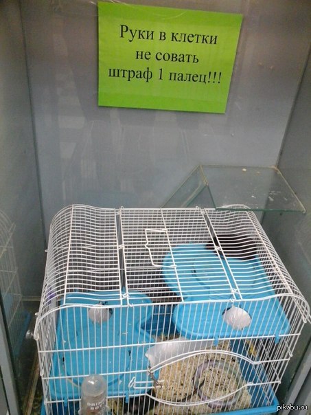 ����� � �����������