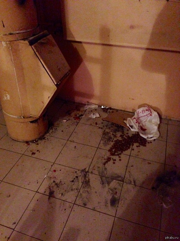 Соседосвин!