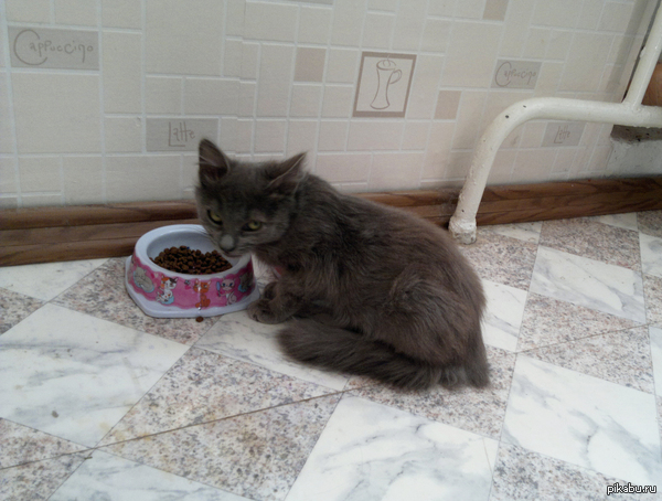 ������ ���������������� �����...