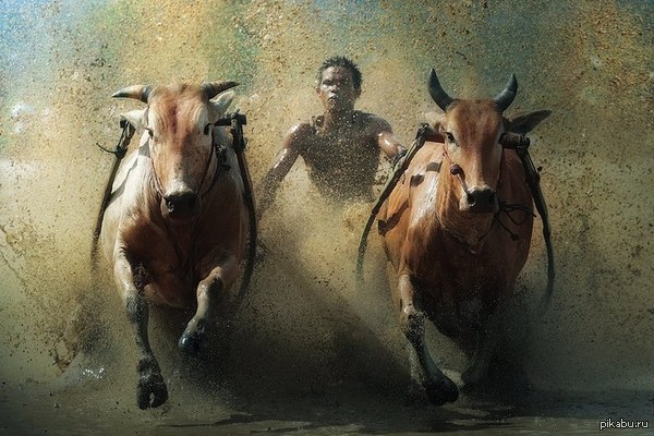 �������