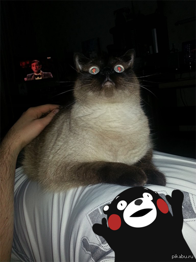 Я... я просто оставлю это здесь...