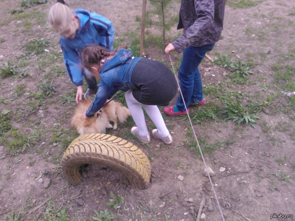 �������� ����� ��������, ����� ���� ����� ������ �����, ������� �������  � ��������� ������((