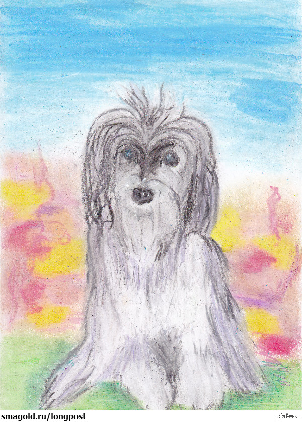 Doggie. - My, Oil pastel, Drawing, Dog