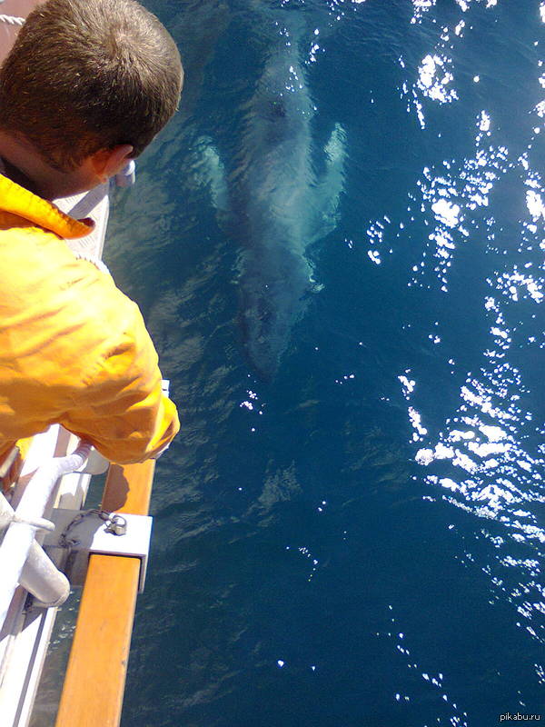 �������) � ��������� ������� ��� ����� ���������