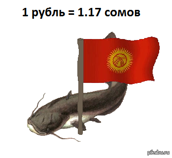 Долой курсы доллара!