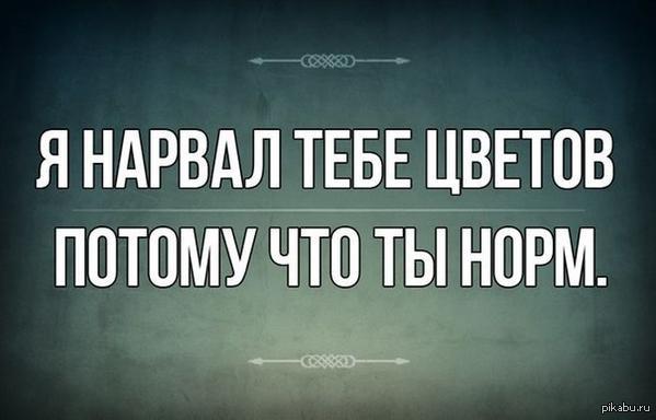 Потому что нормально. Ты норм картинка. Тебе норм?. Ты норм стих. Норм ава норм цвет.