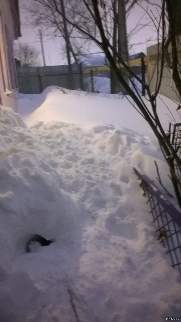 ������� ������� � ��������� ����! =)