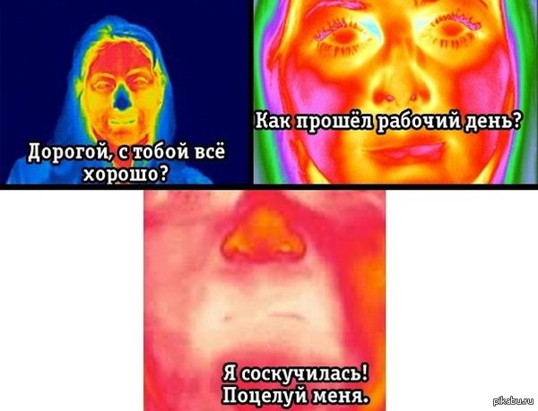 �������, �����������, ����� ������ � ������������ ���������. ������.